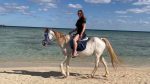 horseback-riding-marsa-alam-sunshine-tours-04