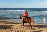 horseback-riding-marsa-alam-sunshine-tours-04