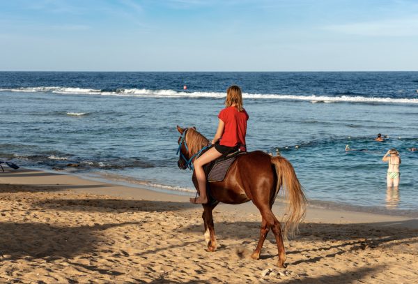 horseback-riding-marsa-alam-sunshine-tours-04