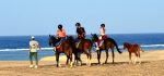 horseback-riding-marsa-alam-sunshine-tours-04