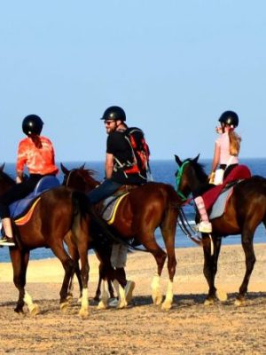 horseback-riding-marsa-alam-sunshine-tours-04