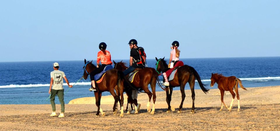 horseback-riding-marsa-alam-sunshine-tours-04