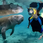 sunshine-tours-sea-cow-snorkeling-safari-tours-in-marsa-alam