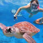 sunshine-tours-sea-cow-snorkeling-safari-tours-in-marsa-alam
